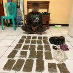 Direktorat Reserse Narkoba Polda Papua, Sikat Pelaku Narkotika Jenis Ganja