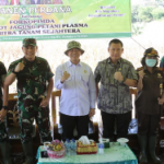 Panen Perdana Demplot Jagung Petani Plasma Pt Mitra Tanam Sejahtera Akan Siapkan Lahan 200 Ribu H