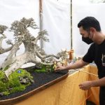 Pameran Dan Kontes Bonsai Nasional Dibuka Mas Bupati