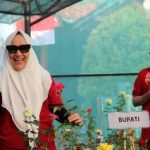 Kembangkan Holtikultura di Kecamatan Margomulyo, DKPP Bojonegoro Launching Kebun Mawar