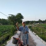 Tingkatkan Hasil Produksi Pertanian, Pemkab Bojonegoro Bangun 83 Titik JUT