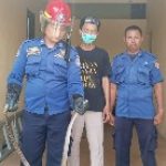 Dinas Damkar Ajak Warga Bojonegoro Jaga Kebersihan, Banyak Evakuasi Ular dan Tawon