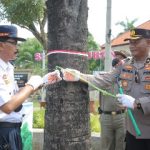 Dinas Lingkungan Hidup dan Perhubungan Tuban Ajak Masyarakat Hargai Pentingnya Keberadaan Pohon, Peringati Hari Pohon Sedunia