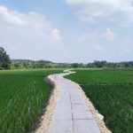 Pemkab Bojonegoro Merealisasikan Program JUT Untuk Memperluas Jalur Distribusi Pertanian