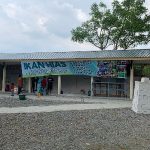 Pasar Burung Buana Lestari Makin Ramai, Kini Ada 6 Stan Penjual Ikan Hias