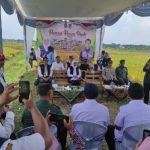 Gubernur dan Bupati Panen Raya Padi di Desa Ngadirejo Tuban Jawa Timur