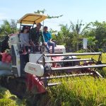 Pemkab dan Kementan Panen Raya di Bojonegoro, Jadi Lumbung Pangan Nasional