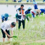 Presiden Jokowi Puji Pemakaian Pupuk Organik Petani di Tuban, Tanam Padi Serentak