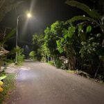 Jalan Poros Desa Diterangi PJU, Warga Bojonegoro Kini Aman dan Nyaman Saat Melintas