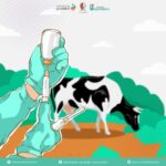 Pemkab Bojonegoro Siapkan 500 Dosis Vaksin Cegah Penyakit LSD pada Sapi