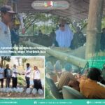 Disnakkan Bojonegoro Terus Tingkatkan Program, Populasi Domba Terbanyak di Jatim