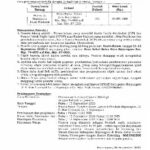 Pemkab Bojonegoro Lelang Ratusan Pohon Peneduh, Cek Syarat dan Ketentuannya