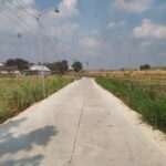 Warga Sekonang Temayang Rasakan Manfaat Jalan Nglenyer, Pemasaran Hasil Pertanian Makin Mudah