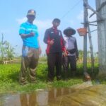Warga Kunci Nikmati Program Sumur Bor Pemkab Bojonegoro, Sawah Tak Lagi Kekurangan Air