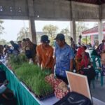 Kulineran di Den Ayu Cepluk Kedungbondo Bojonegoro, Mencicipi Sate hingga Gule Kepala Kambing