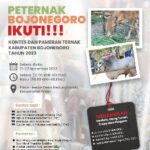 Pemkab Bojonegoro Akan Gelar Kontes dan Pameran Ternak Sapi, Dorong Pengembangkan Peternakan Modern