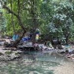 Sendang Grogoland, Surga Alam di Ngunut Bojonegoro yang Suguhkan Kejernihan Air Sungai