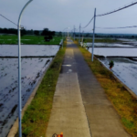 Pemasangan PJU Telah Merata di Wilayah Kecamatan, Warga Bojonegoro Makin Merasa Aman dan Nyaman