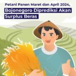 Petani Panen Maret dan April 2024, Diprediksi Bojonegoro Akan Surplus Beras