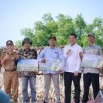 Dirjen Tanaman Pangan Panen Raya Jagung Di Tuban