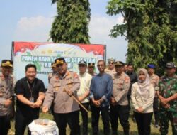 Polres Tuban Melaksanakan Kegiatan Panen Jagung Kwartal III, Dilaksanakan Serentak Kepolisian Seluruh Indonesia