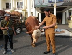 Pemkab Tuban Salurkan 42 Hewan Kurban untuk Masyarakat di 20 Kecamatan