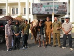 DKP2P Tuban Terjunkan Petugas Kawal Penyaluran Hewan Kurban Presiden dan Pemkab